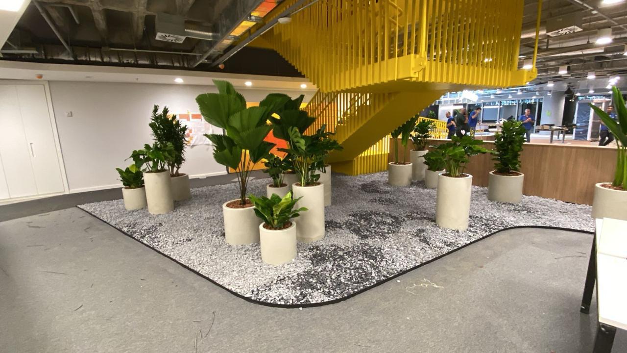 Aluguel de Plantas para Interiores - Tropiflora 2