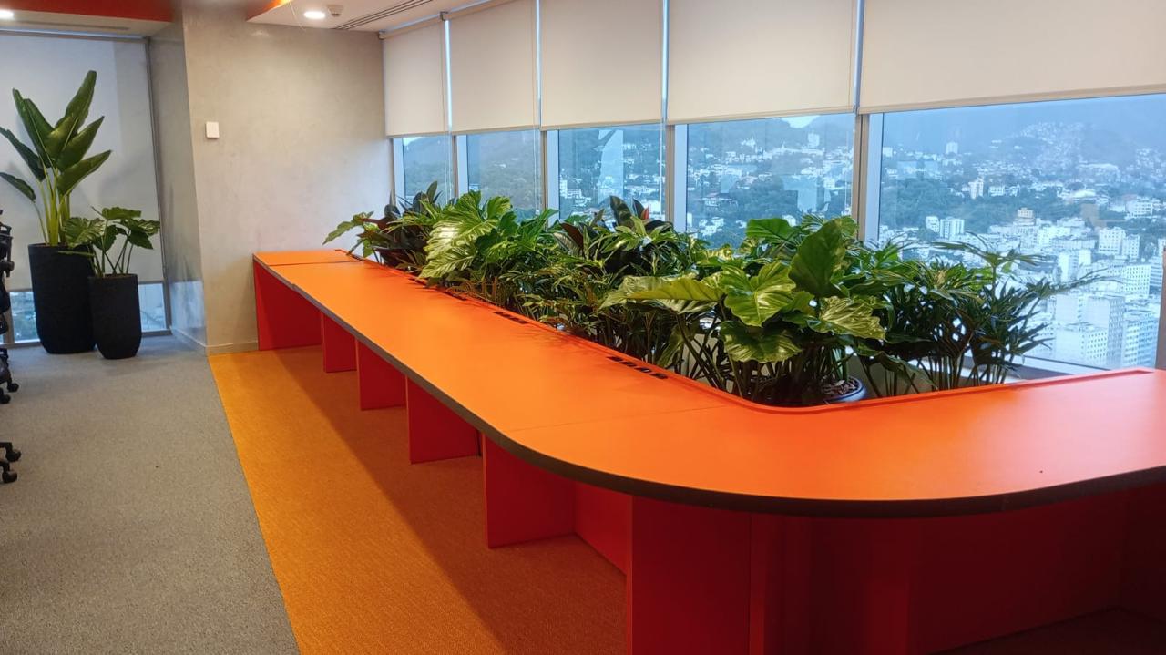 Aluguel de Plantas para Interiores - Tropiflora 3