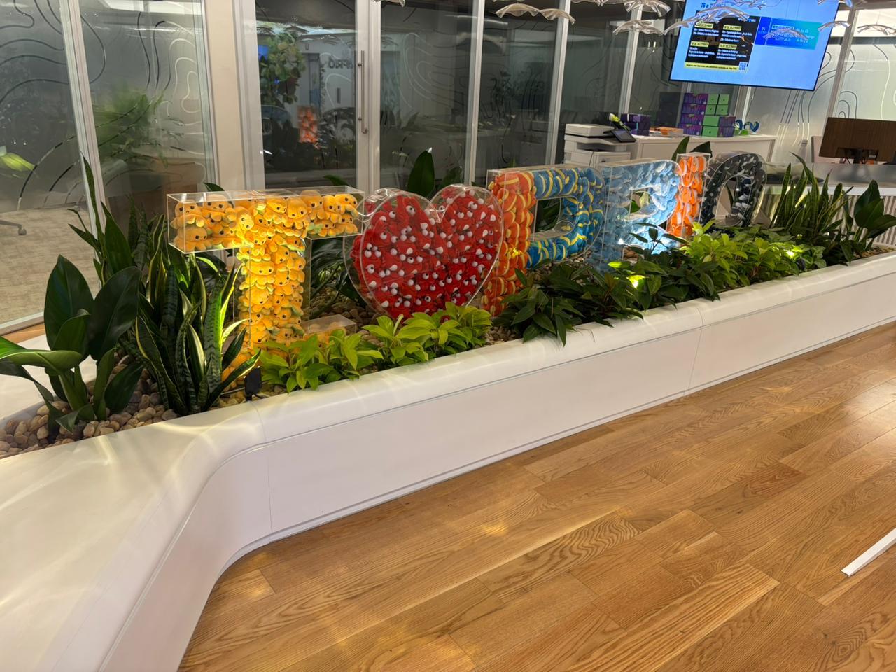 Aluguel de Plantas para Interiores - Tropiflora 4