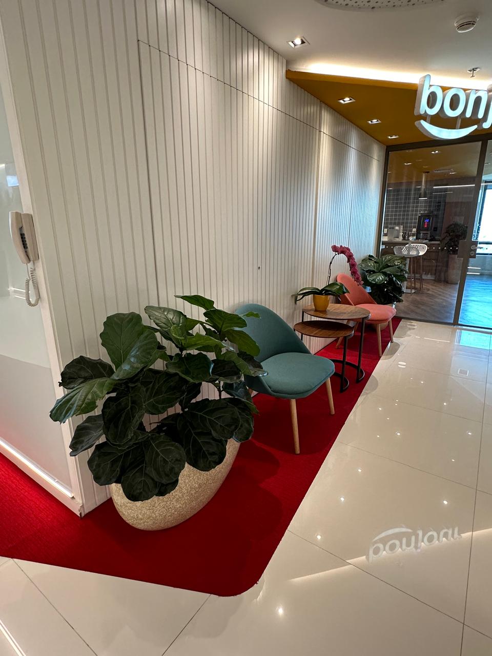 Ambiente 2 - Tropiflora