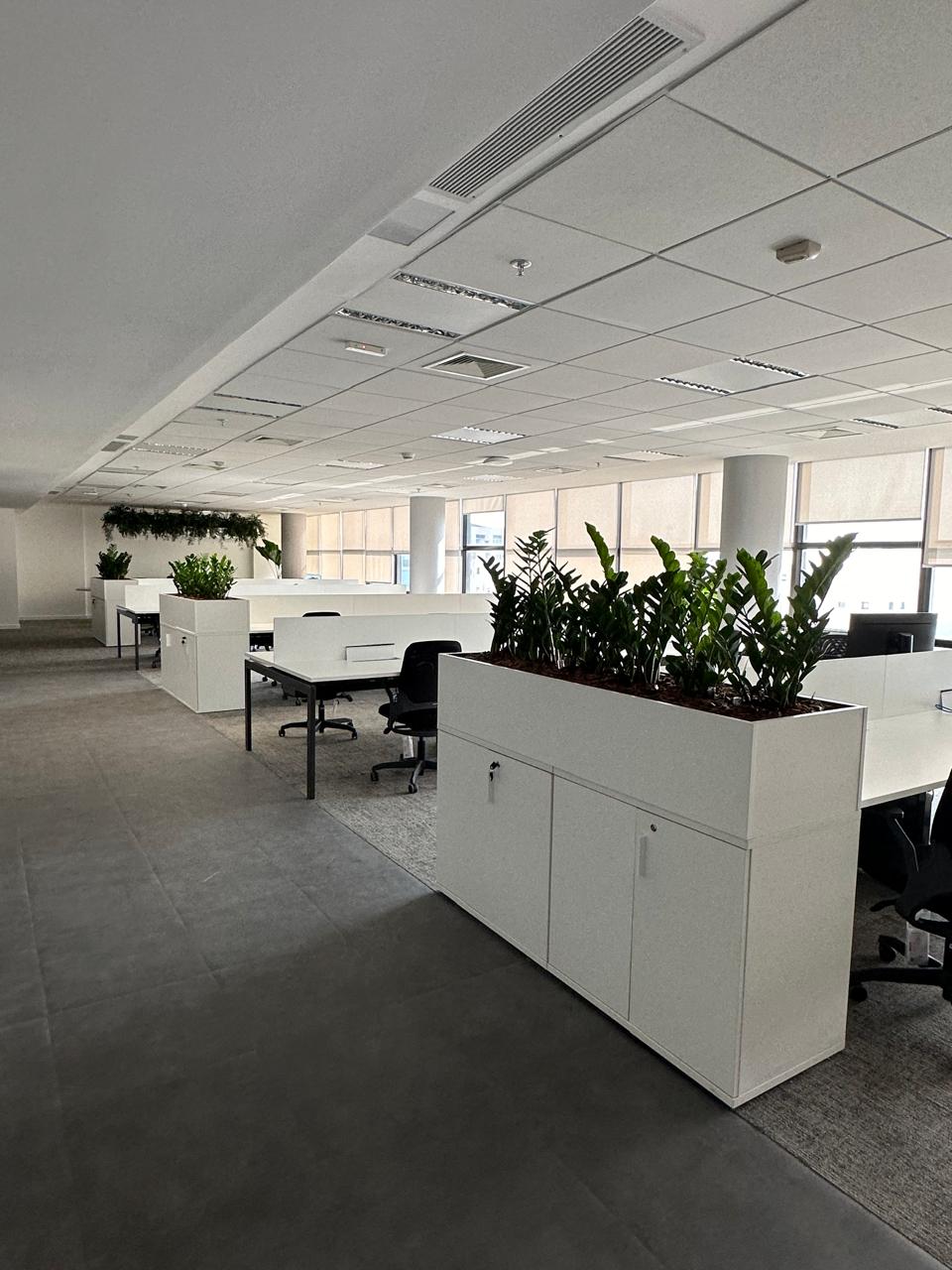 Ambiente 3 - Tropiflora