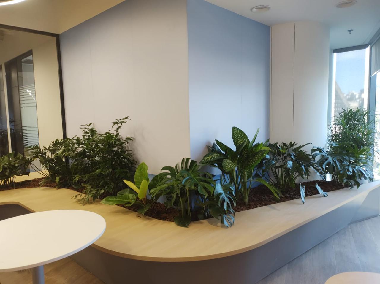 Ambiente 6 - Tropiflora