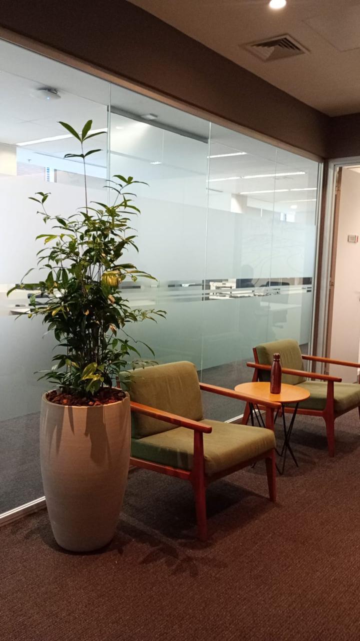 Ambiente 7 - Tropiflora