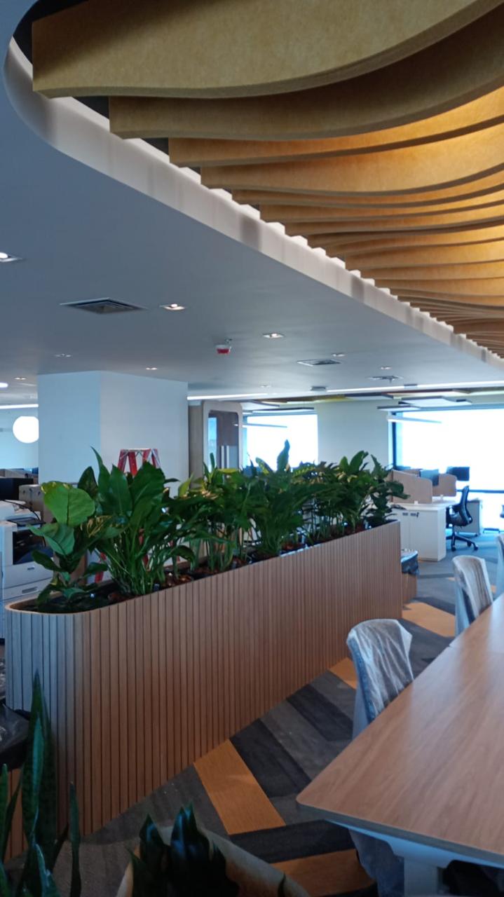 Ambiente 9 - Tropiflora