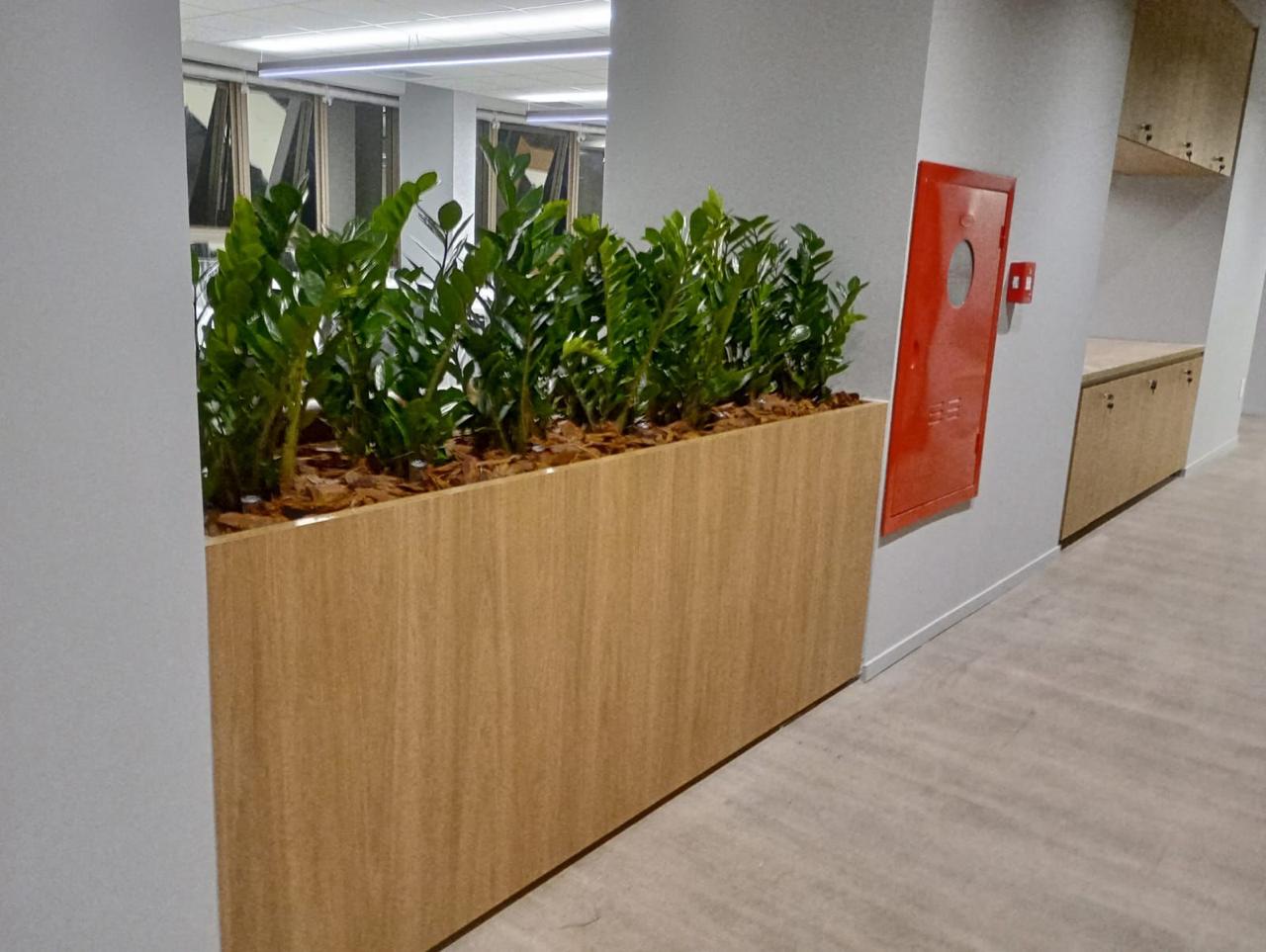 Ambiente 10 - Tropiflora