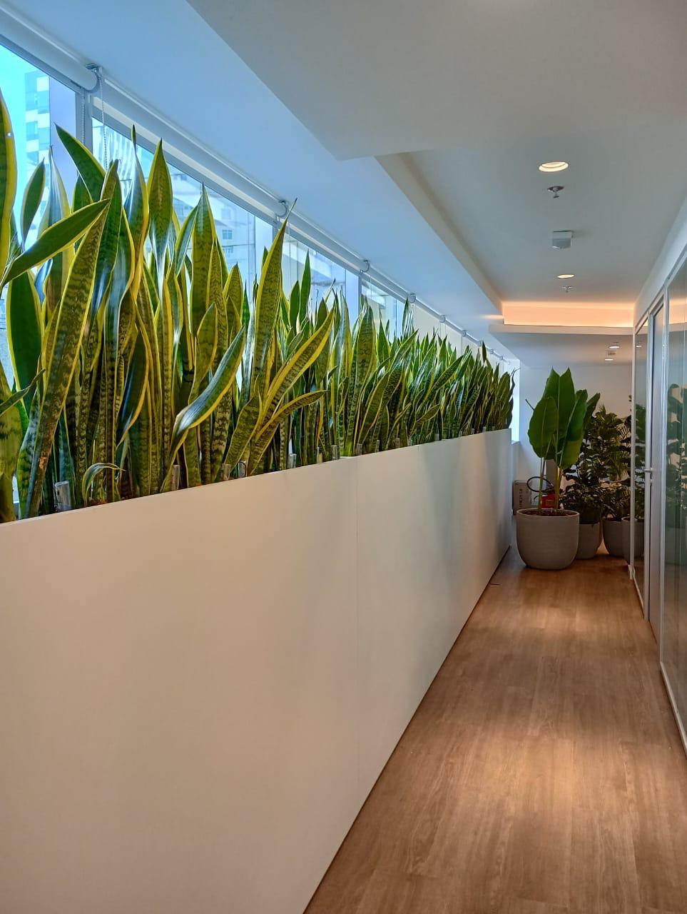 Ambiente 11 - Tropiflora