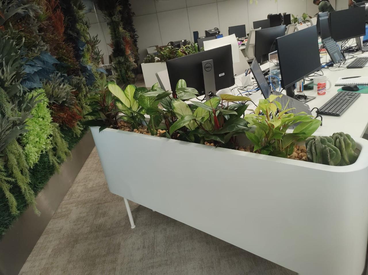 Ambiente 12 - Tropiflora