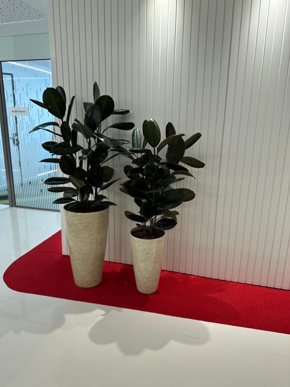 Ambiente 13 - Tropiflora