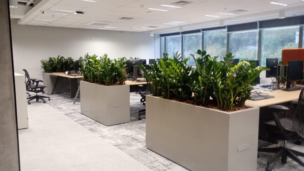 Ambiente 15 - Tropiflora