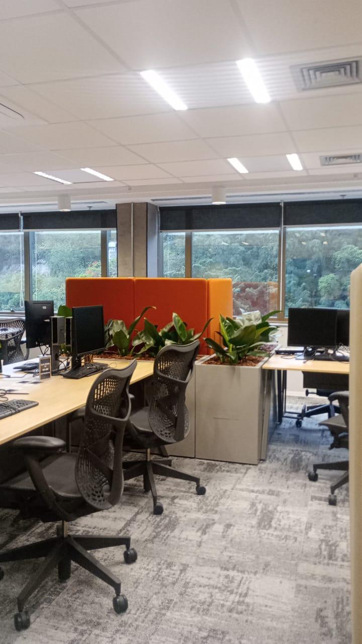 Ambiente 16 - Tropiflora