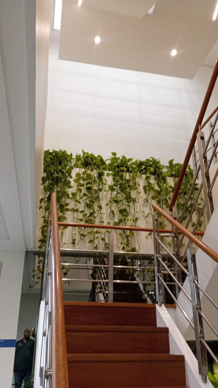 Ambiente 17 - Tropiflora