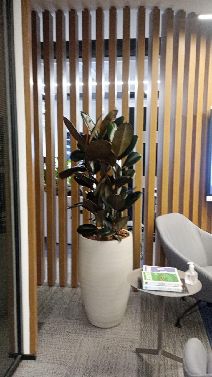 Ambiente 20 - Tropiflora