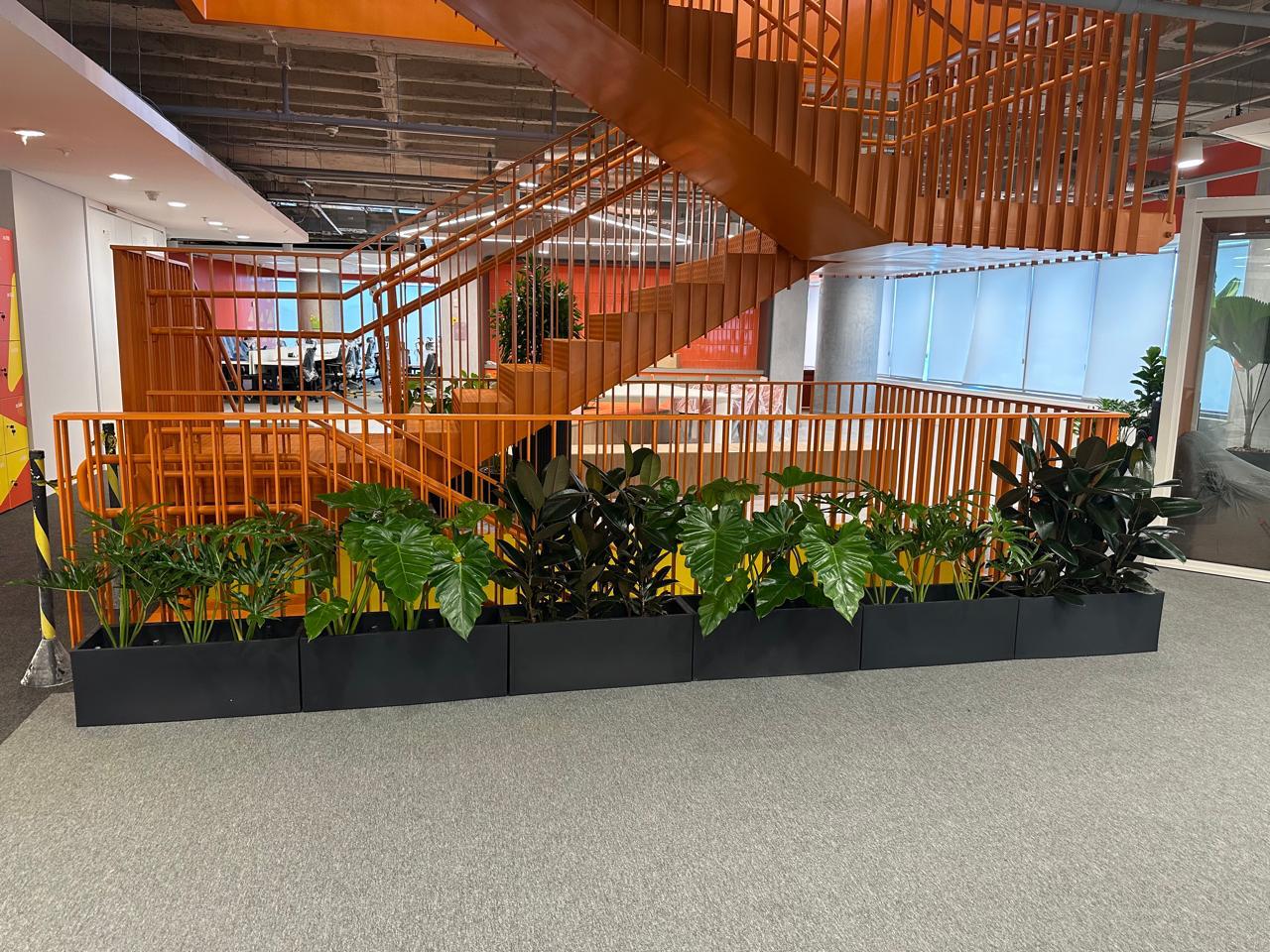 Ambiente 25 - Tropiflora