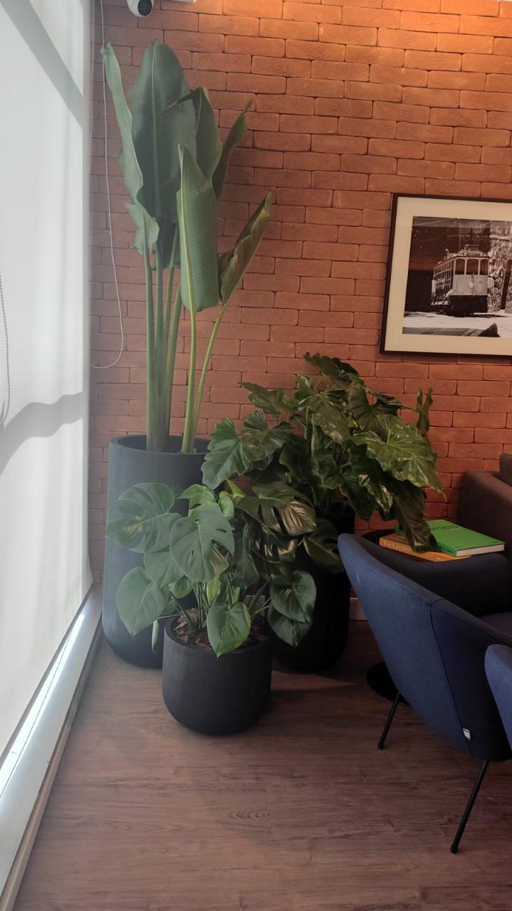 Ambiente 28 - Tropiflora