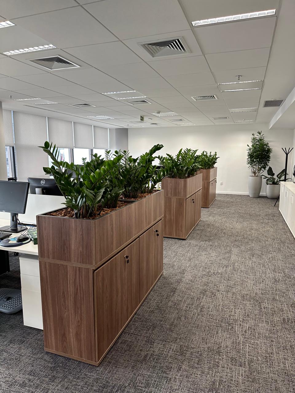 Ambiente 29 - Tropiflora