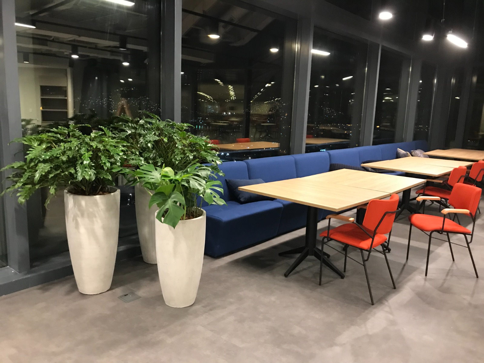 Ambiente 30 - Tropiflora