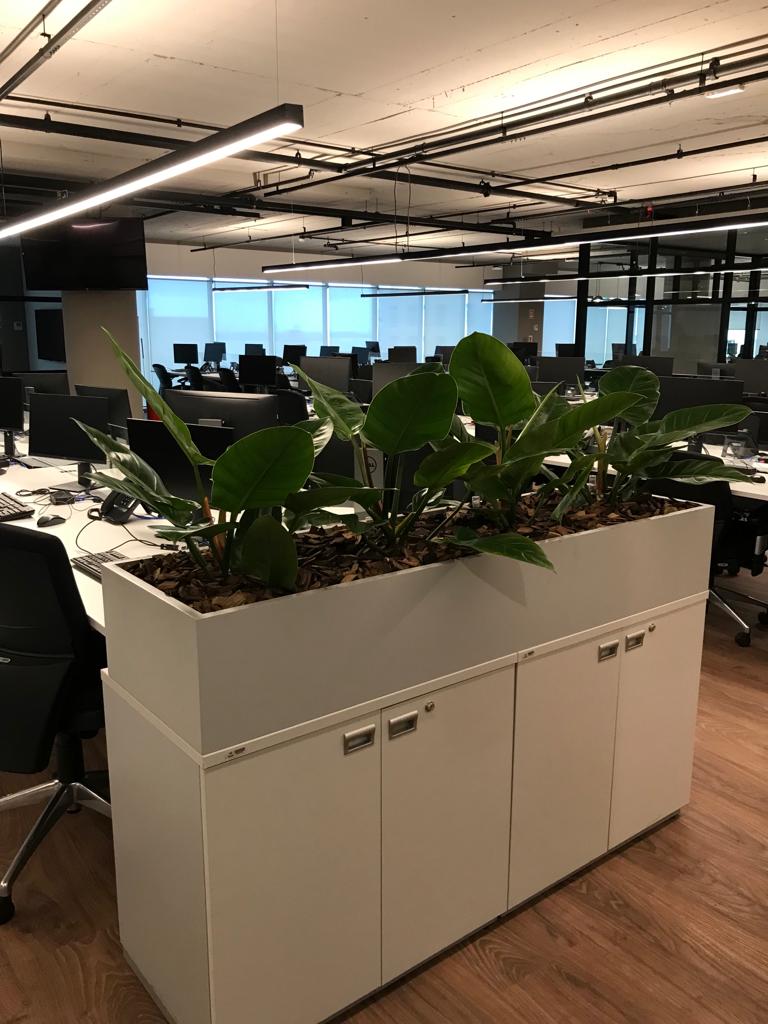 Ambiente 32 - Tropiflora