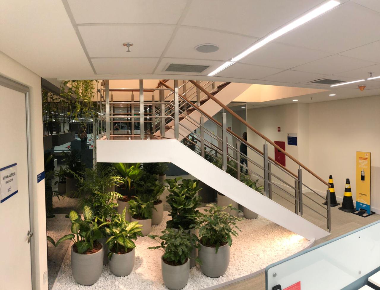 Ambiente 33 - Tropiflora