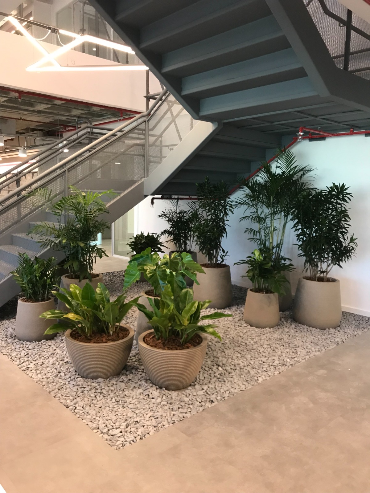 Ambiente 34 - Tropiflora