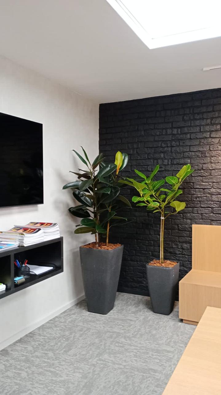 Ambiente 36 - Tropiflora