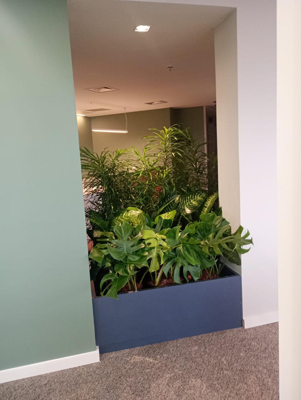 Ambiente 37 - Tropiflora