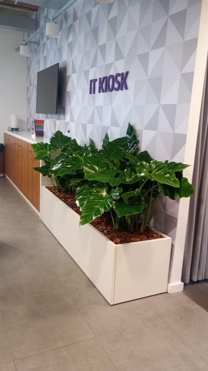 Ambiente 42 - Tropiflora