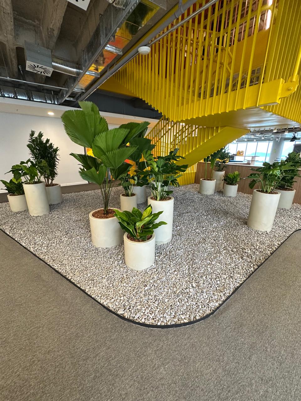 Ambiente 43 - Tropiflora