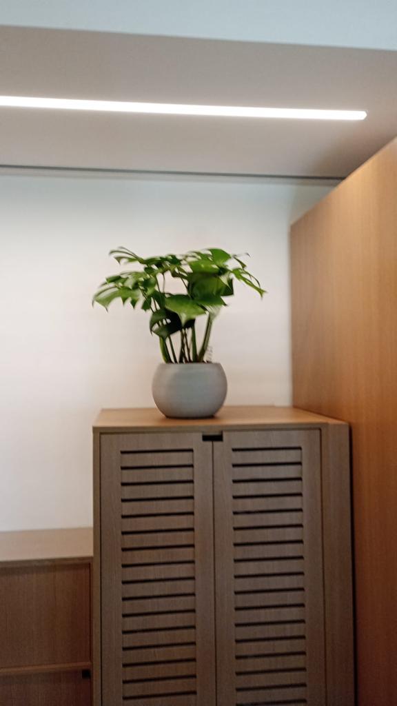 Ambiente 46 - Tropiflora