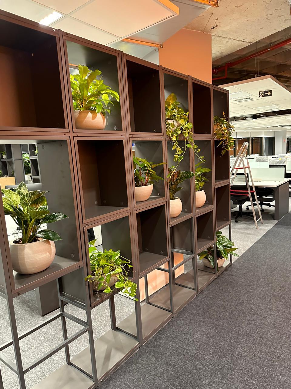 Ambiente 47 - Tropiflora