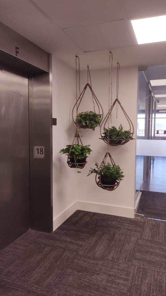 Ambiente 48 - Tropiflora