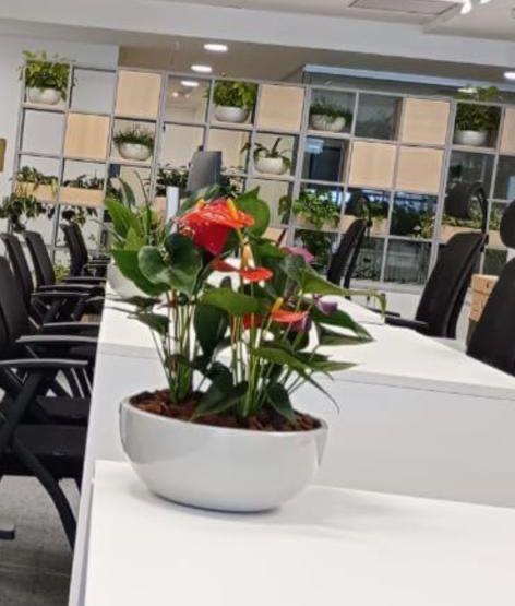 Ambiente 49 - Tropiflora