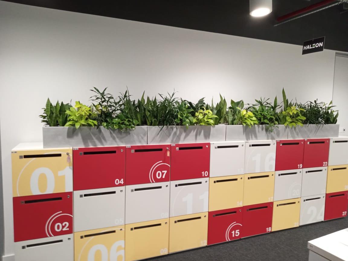 Ambiente 50 - Tropiflora