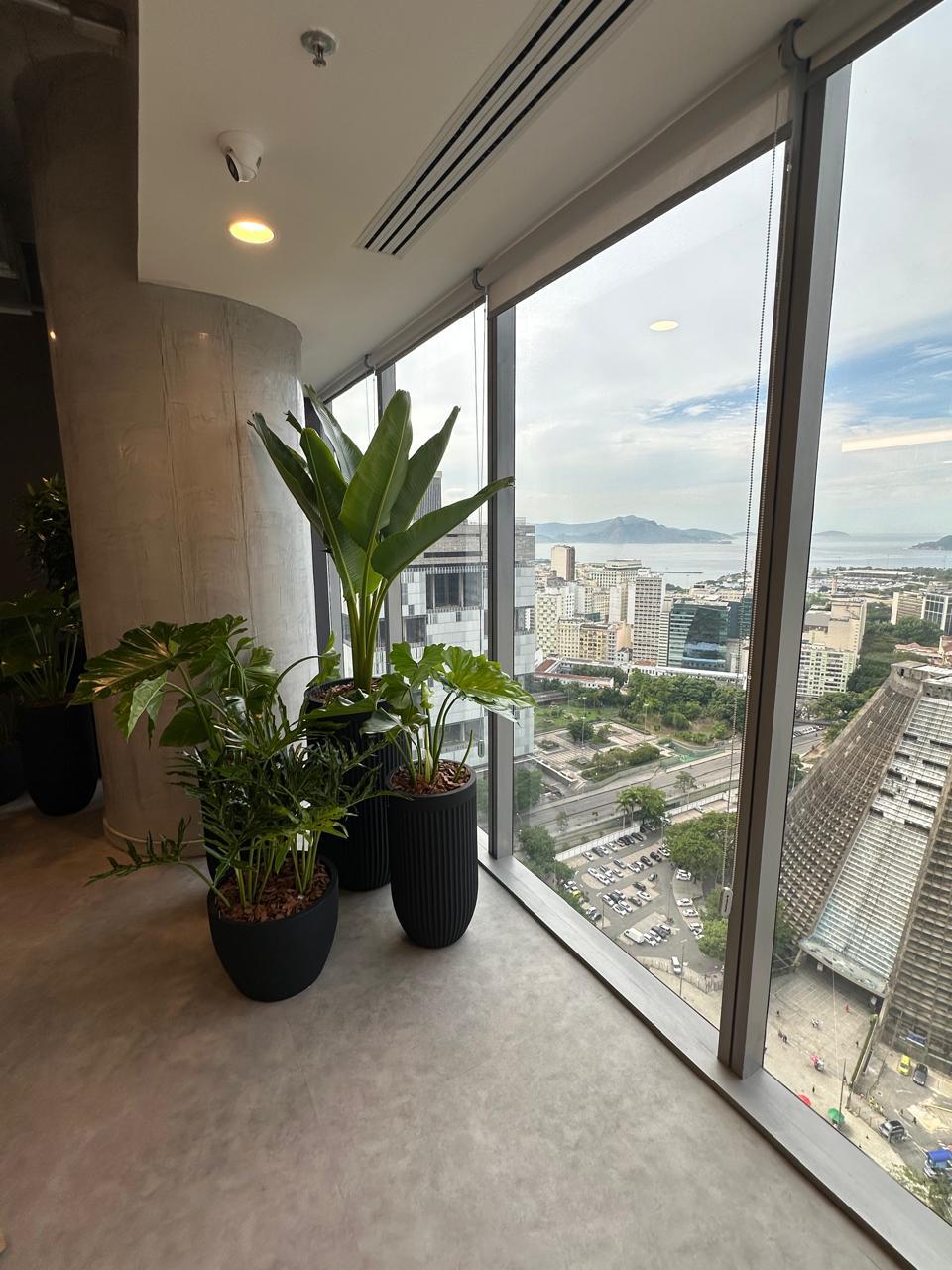 Ambiente 52 - Tropiflora