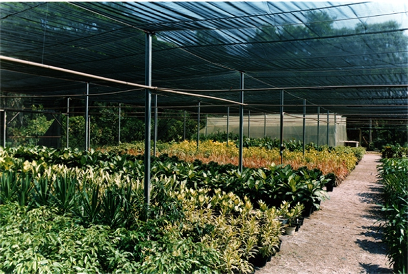 Estrutura Tropiflora 1