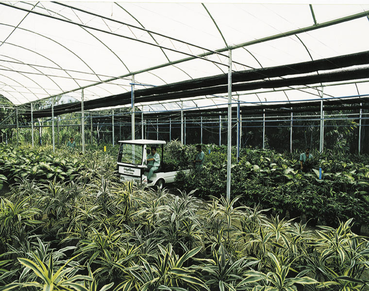 Estrutura Tropiflora 3