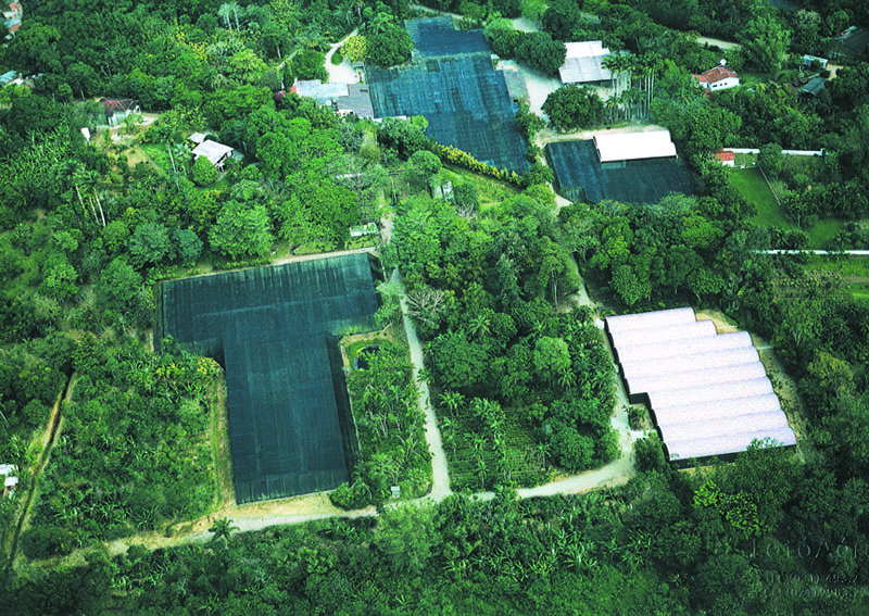 Estrutura Tropiflora 4
