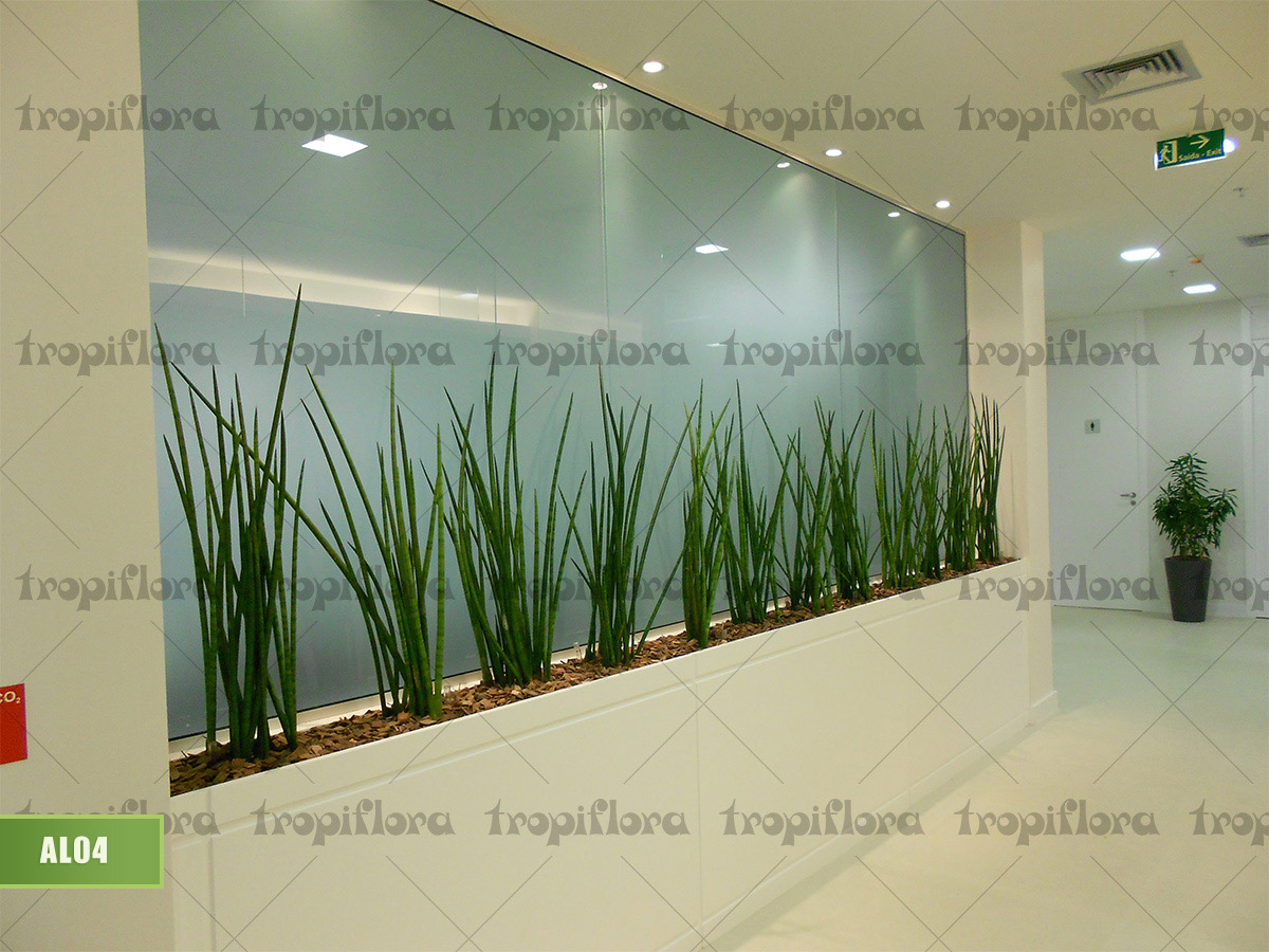 Aluguel de Plantas 5