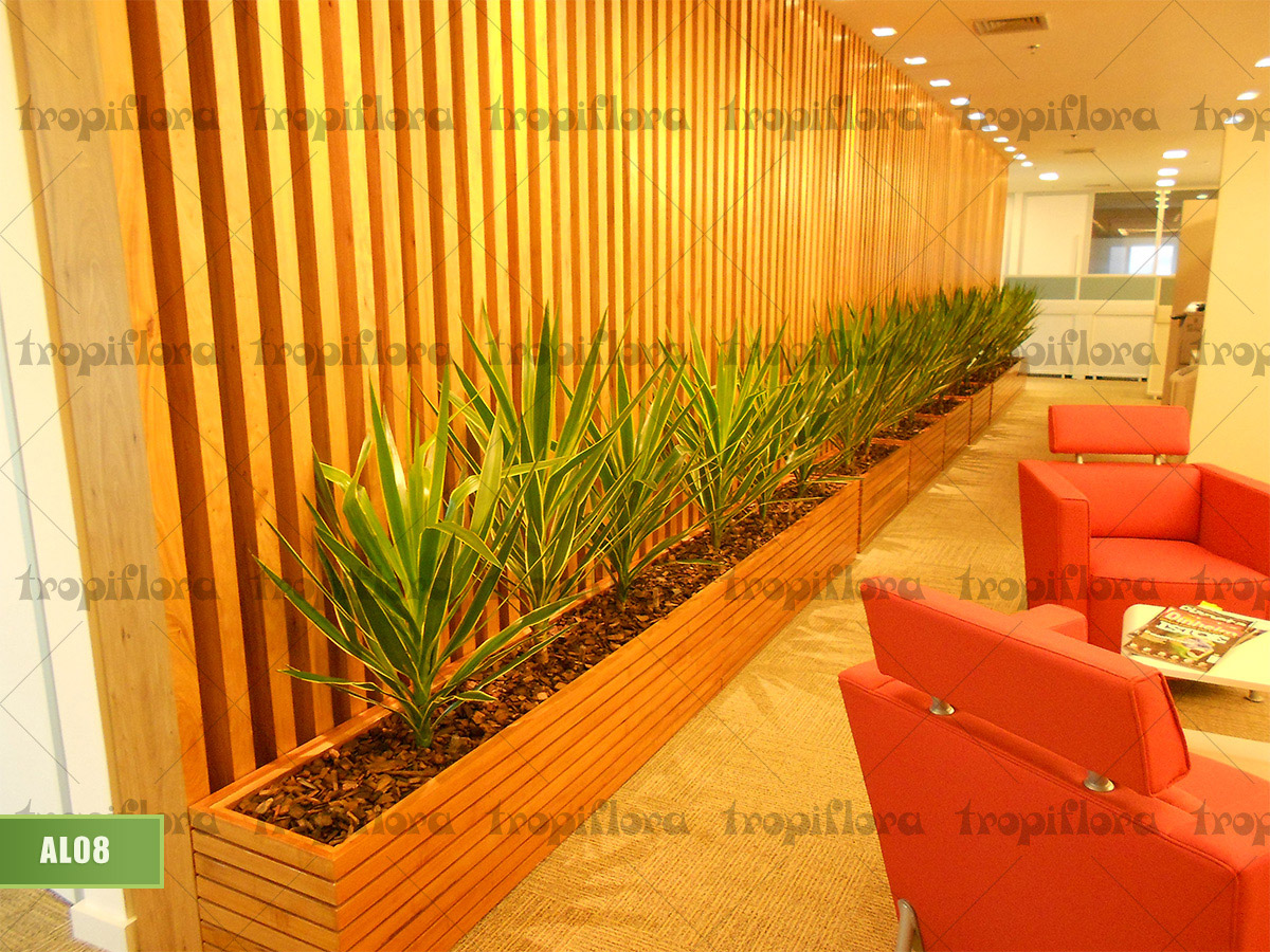 Aluguel de Plantas 9