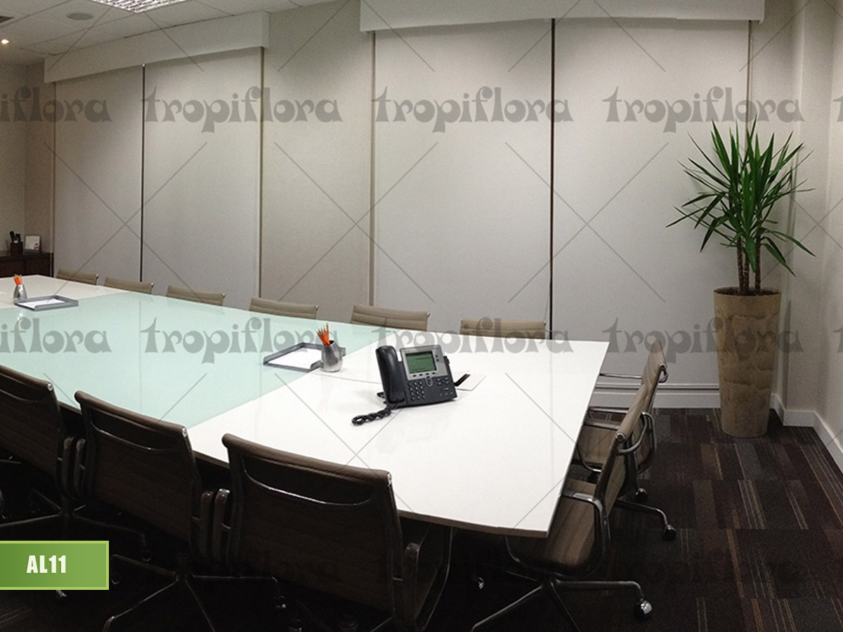 Aluguel de Plantas 12