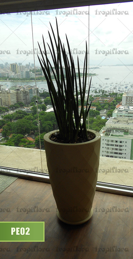 Plantas para Escritórios 3