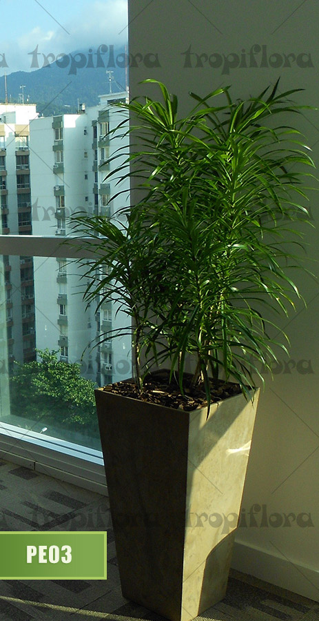 Plantas para Escritórios 4