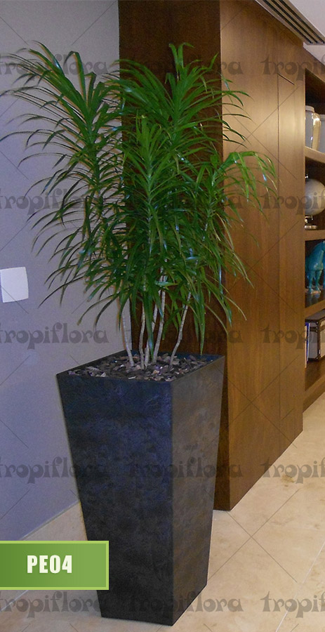 Plantas para Escritórios 5