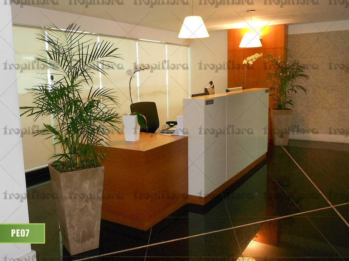 Plantas para Escritórios 8